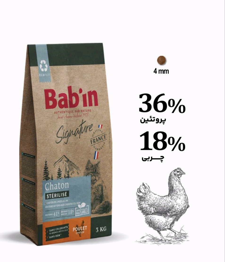 غذای بچه گربه بابین