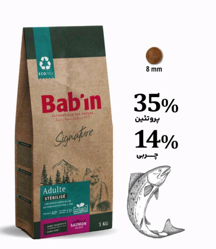 غذای گربه سالمون