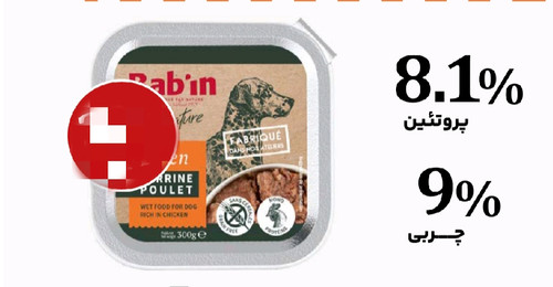 خوراک کاسه ایی سگ بابین