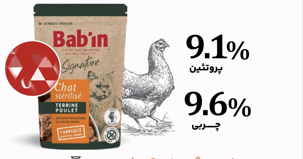 پوچ گربه با طعم مرغ بدون غلات بابین