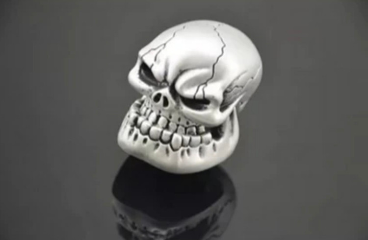 سر دنده جمجمه